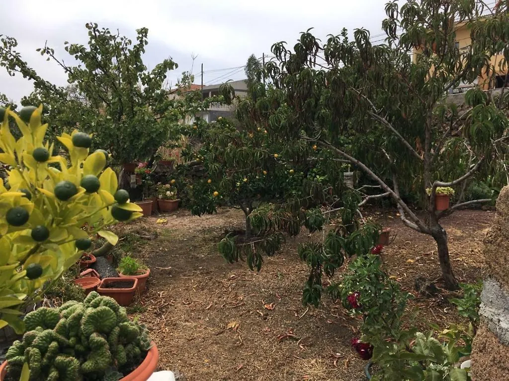 Casa Viges Villa El Pinar  Holiday home