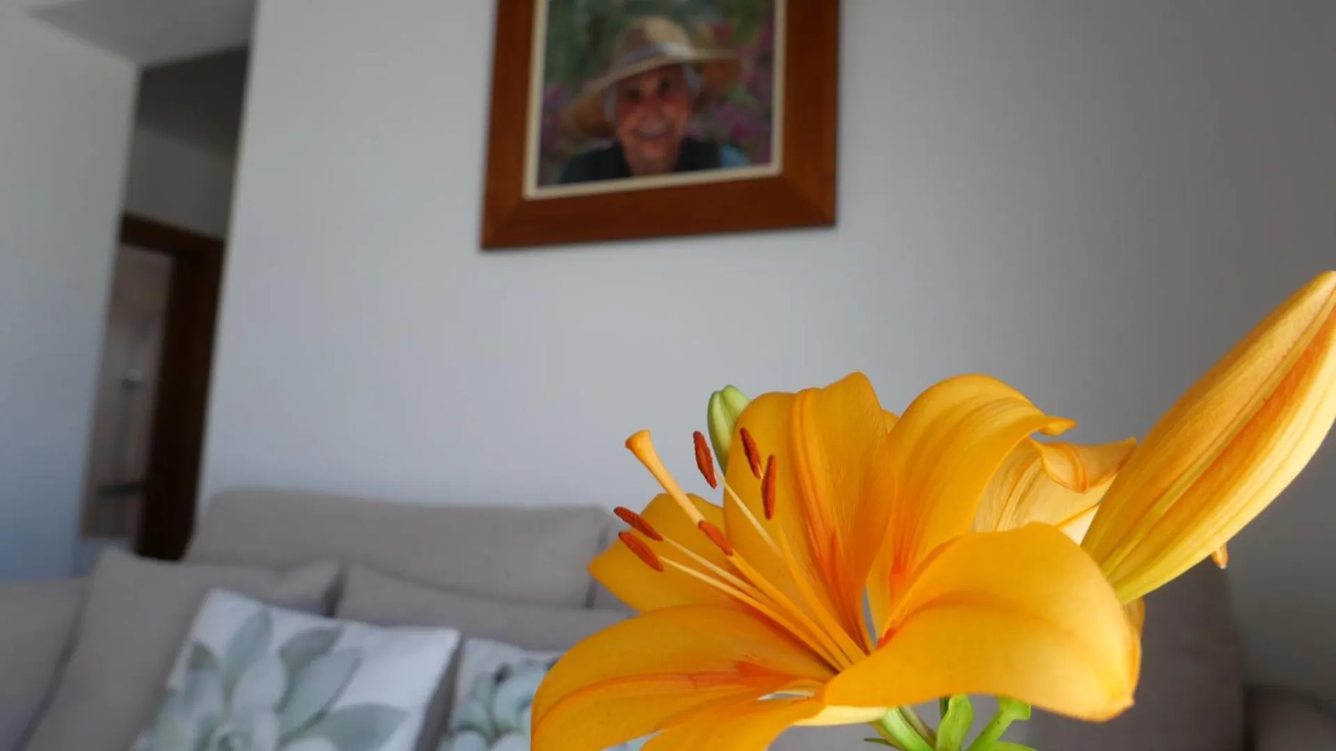 Casa Viges Villa El Pinar  El Pinar (El Hierro)