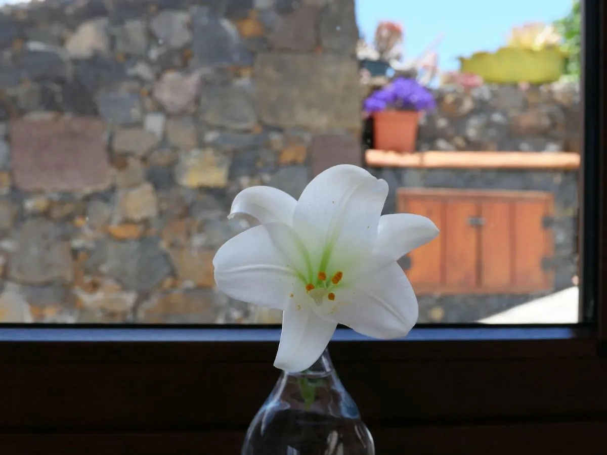 Holiday home Casa Viges Villa El Pinar